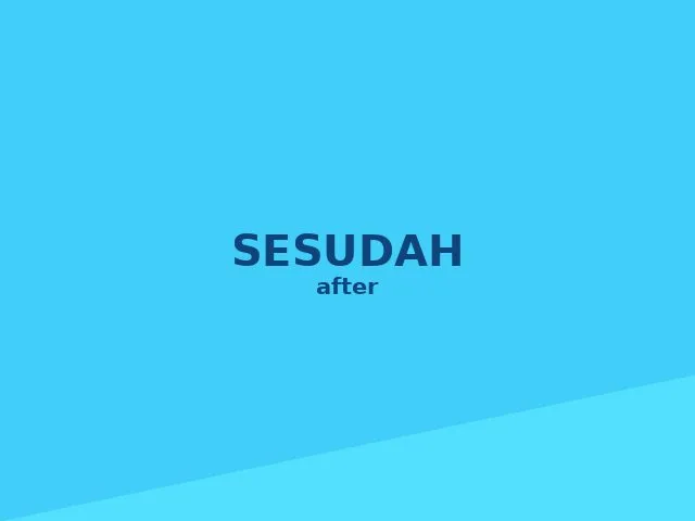 Kondisi bulu kucing sesudah grooming oleh Faunafella Care — bersih dan rapi