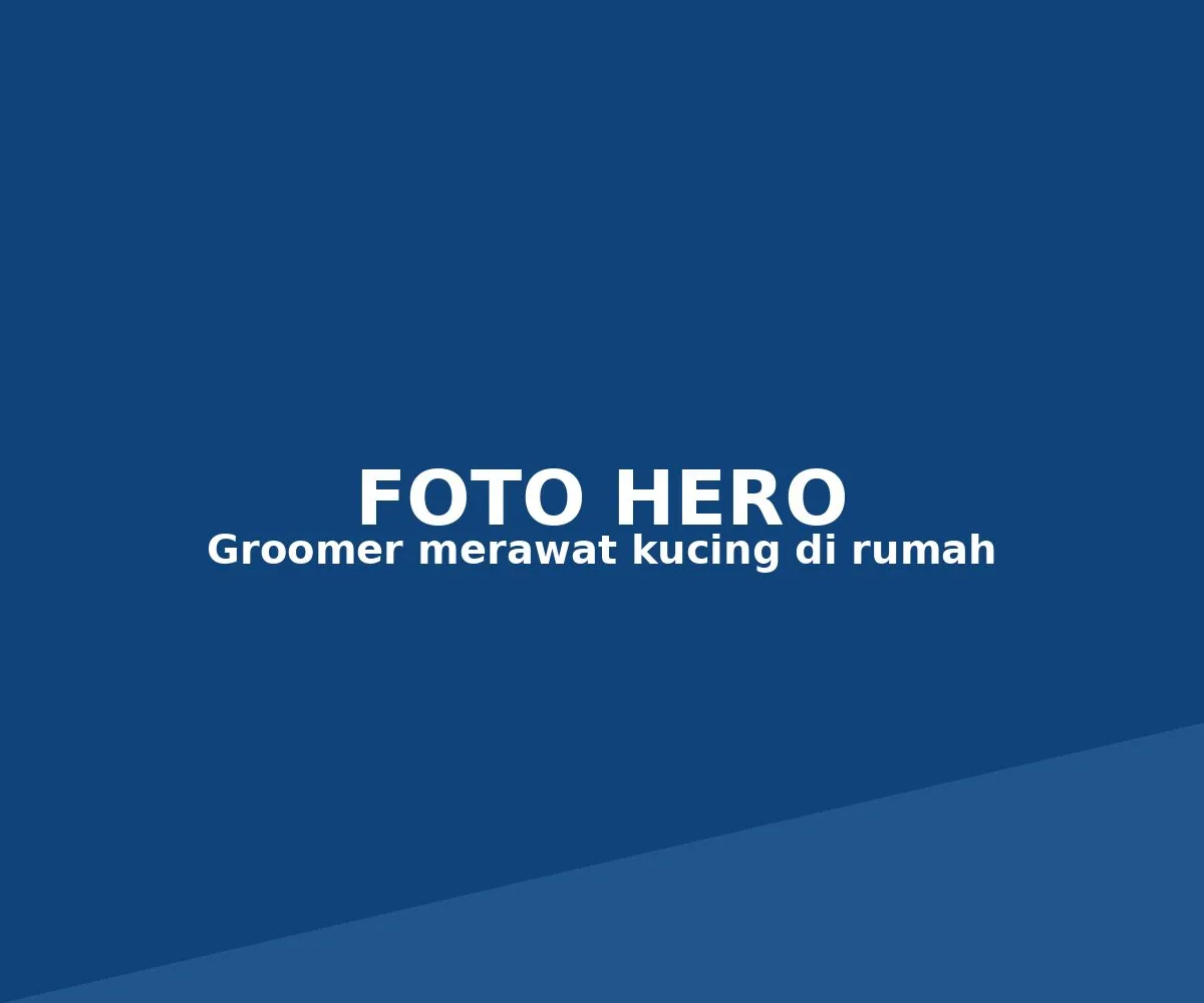 Groomer Faunafella Care sedang merawat kucing dengan lembut di rumah pelanggan di Jakarta